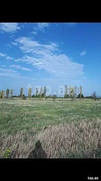 Satılır torpaq sahəsi — Quba