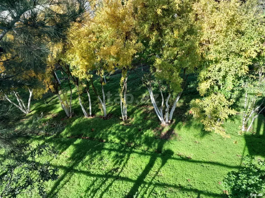 Satılır 7 otaqlı həyət evi 2350 m²