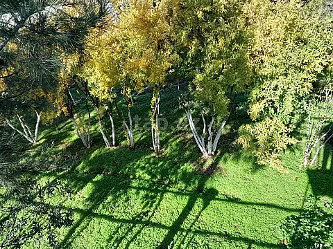 Satılır 7 otaqlı həyət evi 2350 m² — Bakı, Novxanı 7 otaq 2350.00 m²