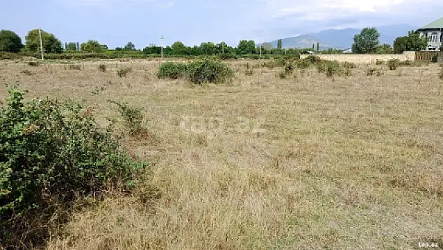 Satılır torpaq sahəsi — Şəki