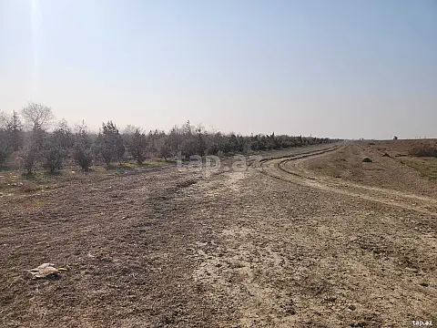 Satılır torpaq sahəsi — Hacıqabul