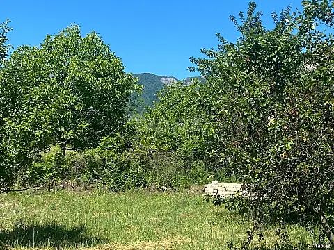 Satılır torpaq sahəsi — İsmayıllı