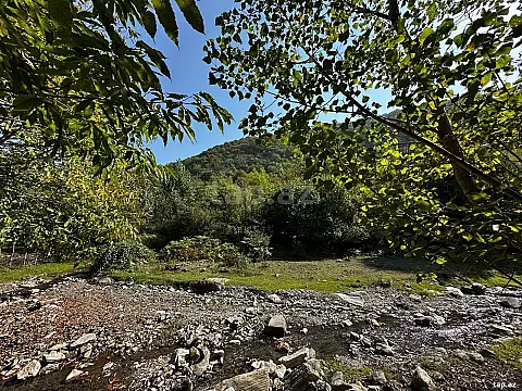 Satılır torpaq sahəsi — Qəbələ
