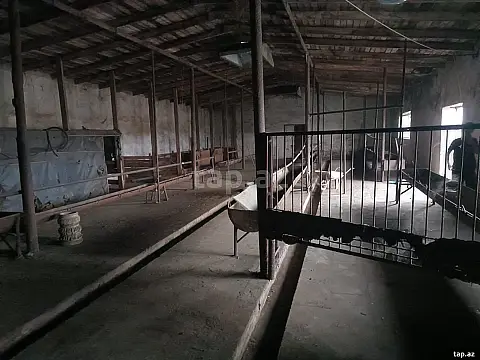 Kirayə verilir obyekt — Bakı, Suraxanı