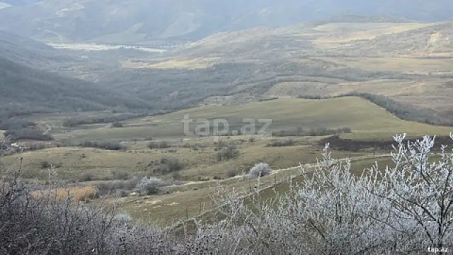 Satılır torpaq sahəsi — Şamaxı