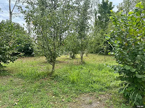 Satılır torpaq sahəsi — Qəbələ