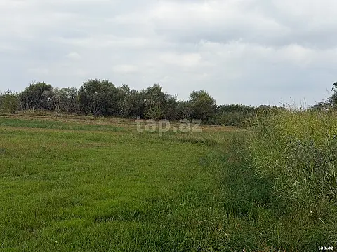 Satılır torpaq sahəsi — Xaçmaz