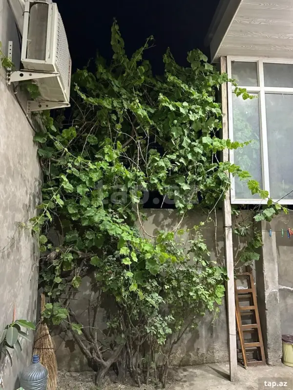 Kirayə verilir 4 otaqlı həyət evi 150 m²