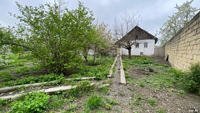 Satılır torpaq sahəsi — Quba