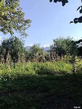 Satılır torpaq sahəsi — Qəbələ