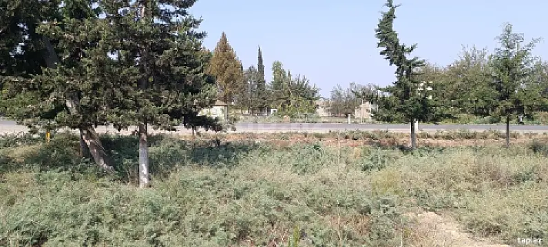 Satılır torpaq sahəsi — Beyləqan