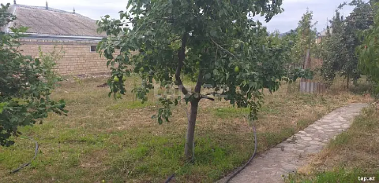Satılır 3 otaqlı yeni tikili 80 m² — Tovuz 3 otaq 80.00 m²