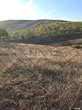 Satılır torpaq sahəsi — Şamaxı