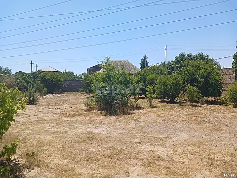 Satılır torpaq sahəsi — Bakı, Buzovna