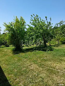 Satılır torpaq sahəsi — İsmayıllı