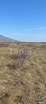 Satılır torpaq sahəsi — Biləsuvar