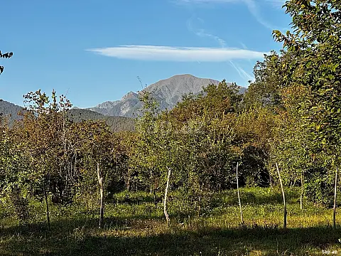 Satılır torpaq sahəsi — Qəbələ