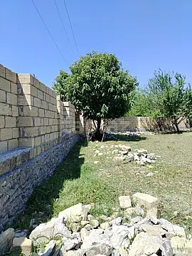 Satılır torpaq sahəsi — Qəbələ