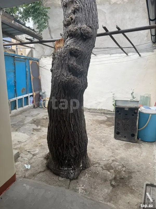 Kirayə verilir 3 otaqlı həyət evi 75 m²
