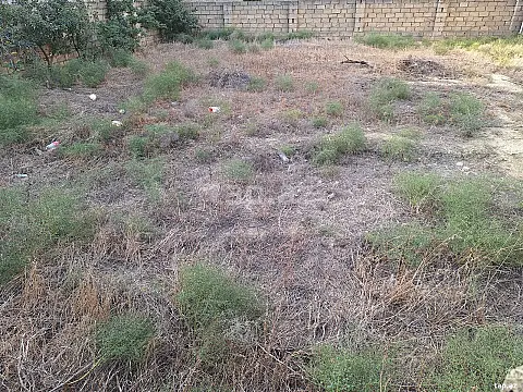 Satılır torpaq sahəsi — Bakı, Badamdar