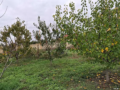 Satılır torpaq sahəsi — Quba