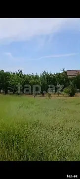 Satılır torpaq sahəsi — Tovuz