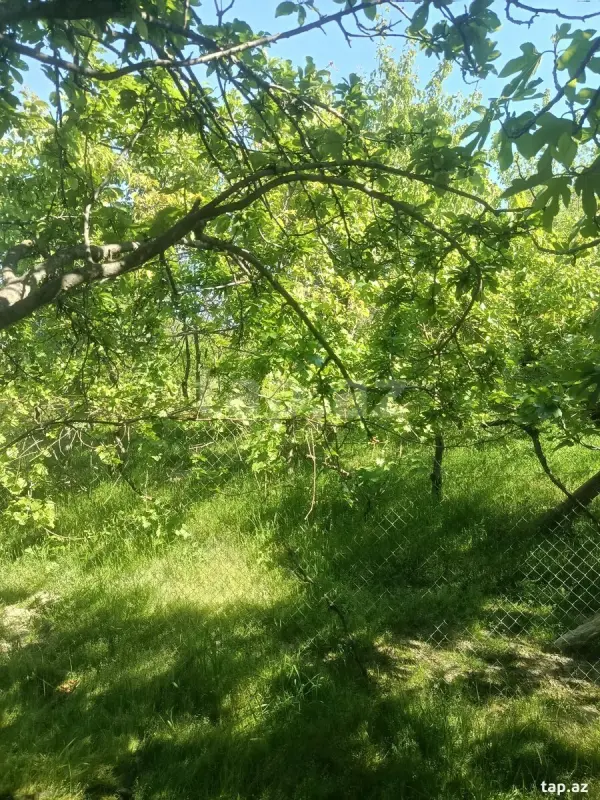 Satılır 2 otaqlı həyət evi 60 m²