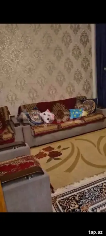 Kirayə verilir 3 otaqlı həyət evi 100 m²