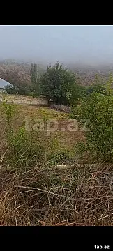 Satılır torpaq sahəsi — Şəki