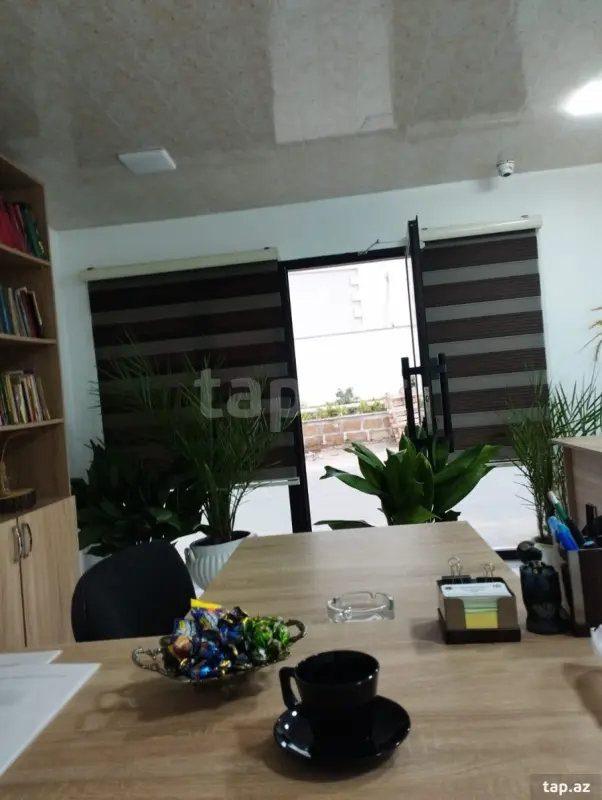 Kirayə verilir ofis