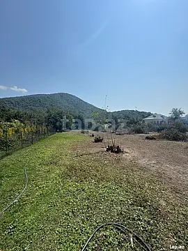Satılır torpaq sahəsi — Zaqatala