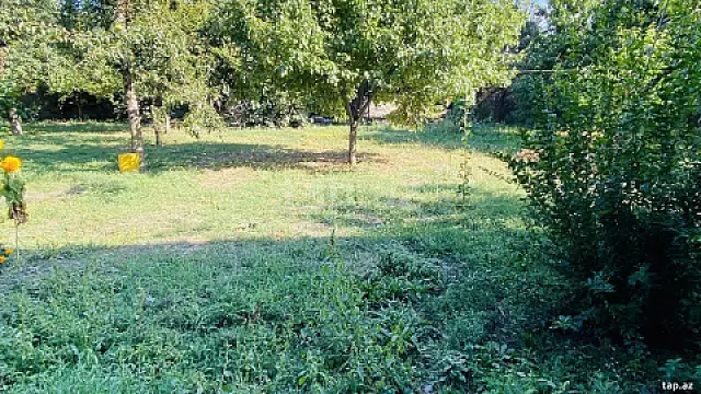 Satılır torpaq sahəsi — Qəbələ