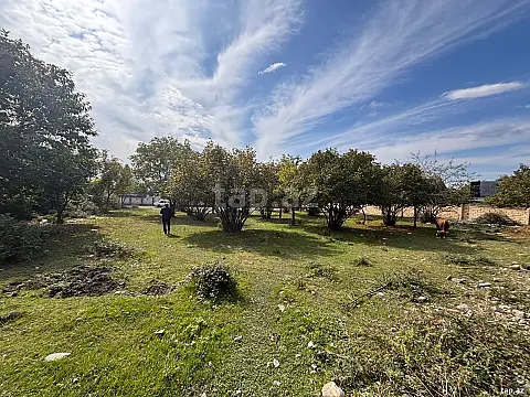 Satılır torpaq sahəsi — Qəbələ