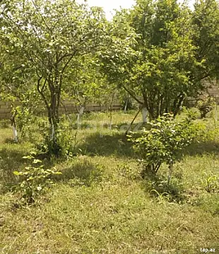 Satılır torpaq sahəsi — Bakı, Novxanı