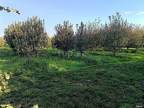 Satılır torpaq sahəsi — Quba
