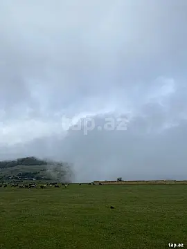 Satılır torpaq sahəsi — Qusar