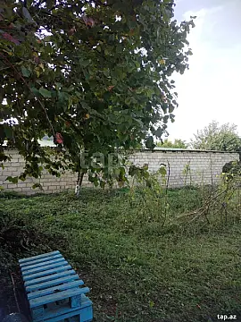 Satılır torpaq sahəsi — Qusar