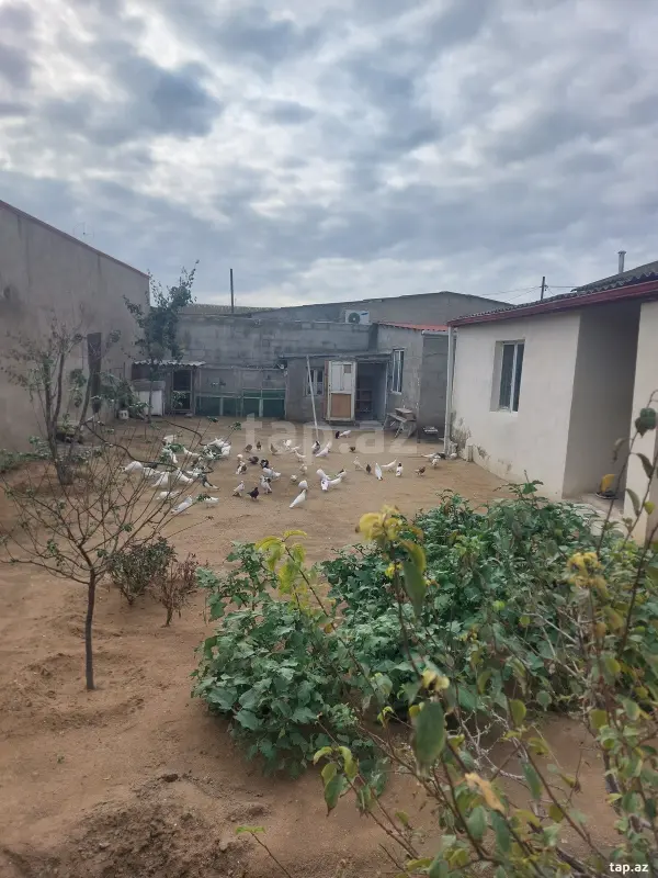 Satılır 3 otaqlı həyət evi 120 m²