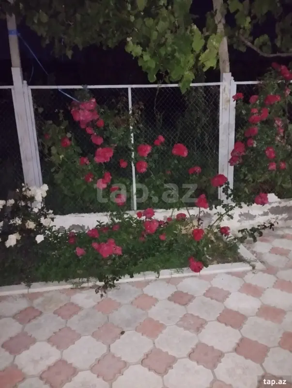 Kirayə verilir 1 otaqlı həyət evi 110 m²