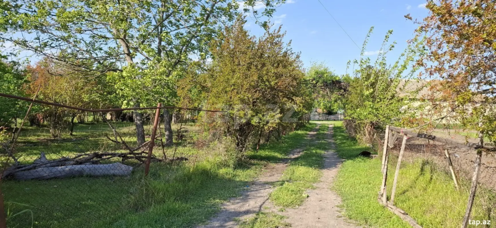 Satılır 4 otaqlı həyət evi 3000 m²