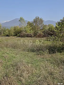 Satılır torpaq sahəsi — Qəbələ