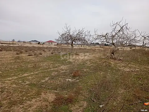 Satılır torpaq sahəsi — Bakı, Nardaran