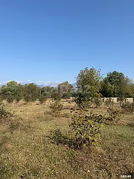 Satılır torpaq sahəsi — Qəbələ