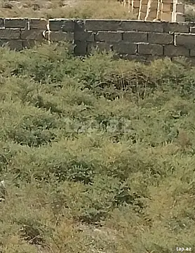 Satılır torpaq sahəsi — Xırdalan, Qobustan qəs.