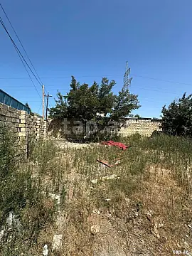 Satılır torpaq sahəsi — Salyan