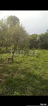 Satılır torpaq sahəsi — Lənkəran