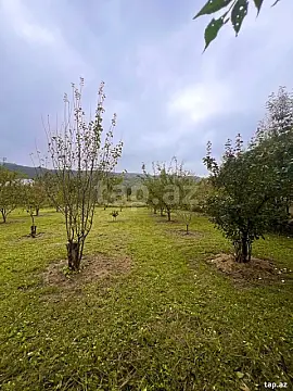 Satılır torpaq sahəsi — Quba