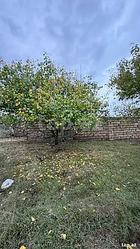 Satılır torpaq sahəsi — Bakı, Görədil