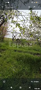 Satılır torpaq sahəsi — Mingəçevir