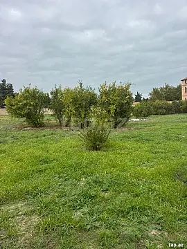 Satılır torpaq sahəsi — Bakı, Novxanı